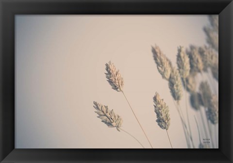 Framed Dried Grass Study Print