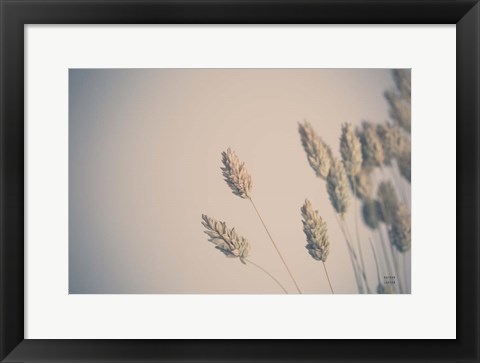 Framed Dried Grass Study Print