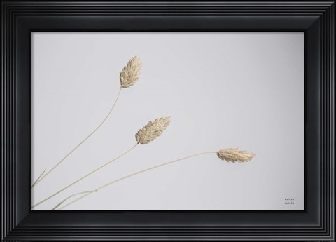 Framed Grass Study Color Print
