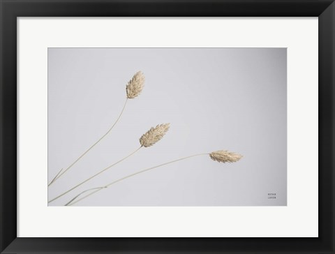 Framed Grass Study Color Print