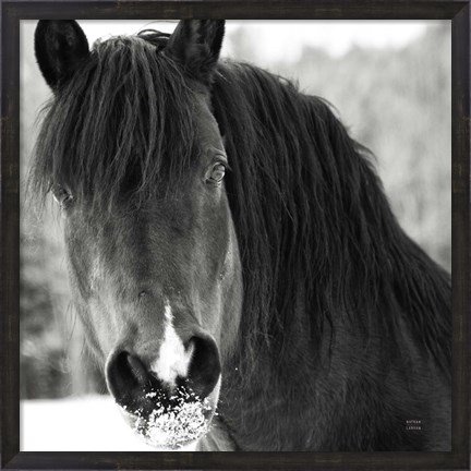 Framed Winter Horse II Print