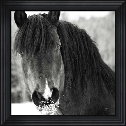 Framed Winter Horse II Print
