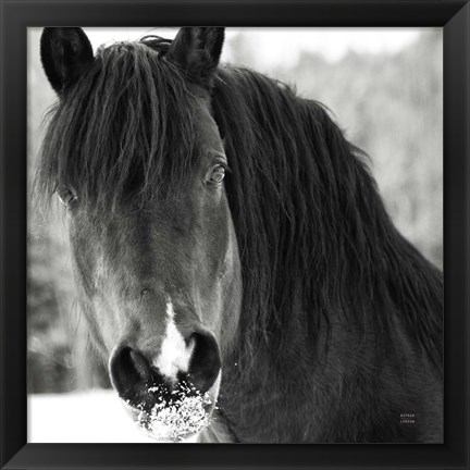 Framed Winter Horse II Print