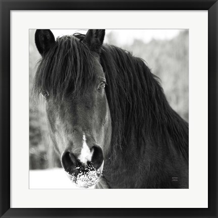 Framed Winter Horse II Print