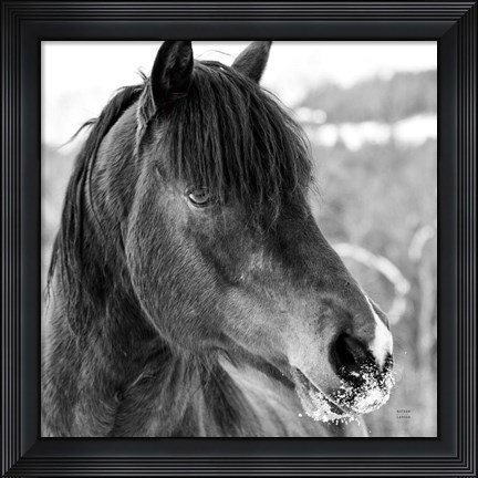 Framed Winter Horse I Print