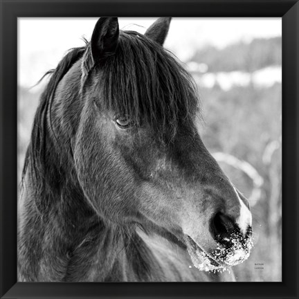 Framed Winter Horse I Print