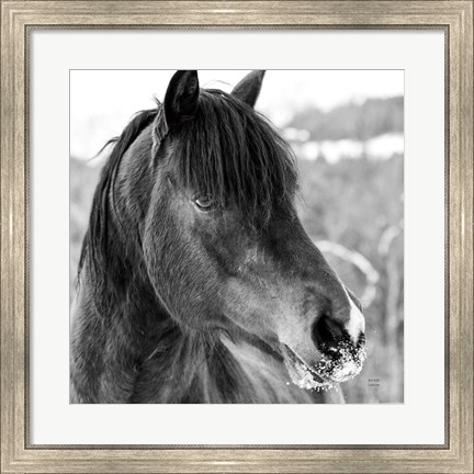 Framed Winter Horse I Print