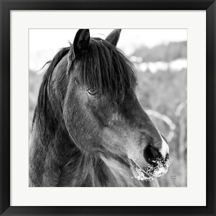 Framed Winter Horse I Print