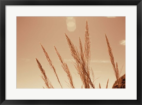 Framed Lakeside Grasses VI Print