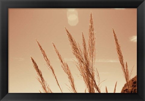 Framed Lakeside Grasses VI Print