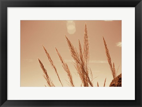 Framed Lakeside Grasses VI Print