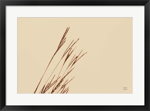 Framed Lakeside Grasses IV Print