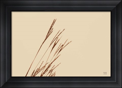 Framed Lakeside Grasses IV Print