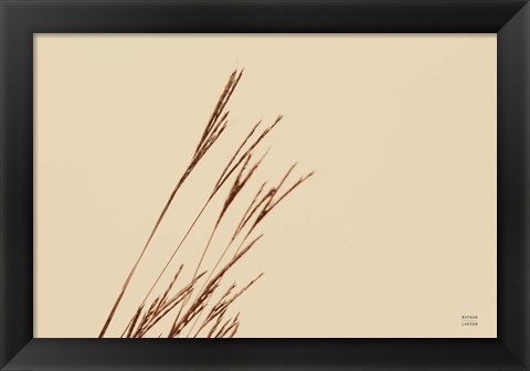 Framed Lakeside Grasses IV Print