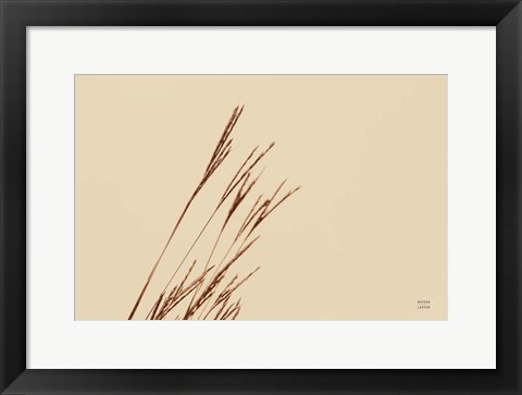 Framed Lakeside Grasses IV Print