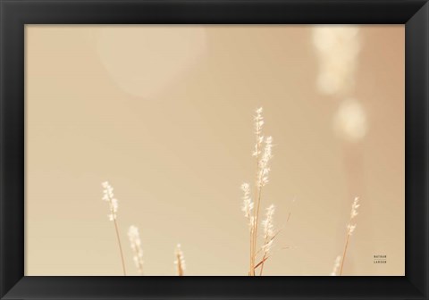 Framed Lakeside Grasses I Print