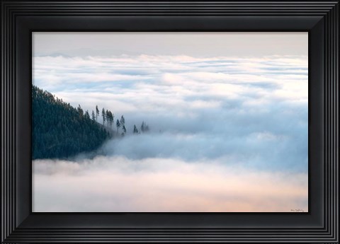 Framed Fog and Forest III Print