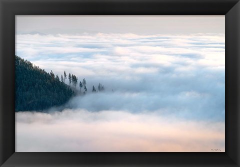 Framed Fog and Forest III Print