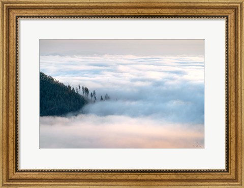Framed Fog and Forest III Print