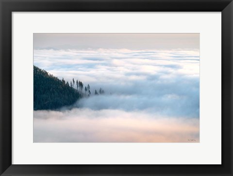 Framed Fog and Forest III Print