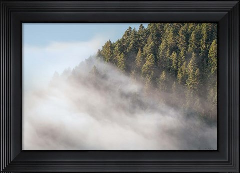 Framed Fog and Forest I Print