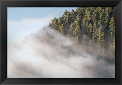 Framed Fog and Forest I Print