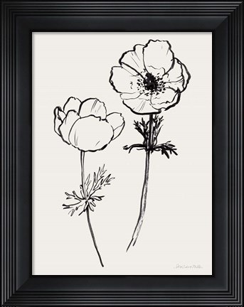 Framed Ink Anemones II Black Print