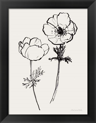 Framed Ink Anemones II Black Print