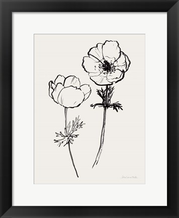 Framed Ink Anemones II Black Print