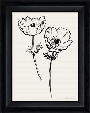 Framed Ink Anemones I Black Print