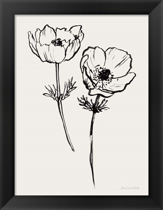 Framed Ink Anemones I Black Print