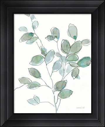 Framed Transparent Branch Eucalyptus Print