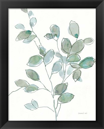 Framed Transparent Branch Eucalyptus Print