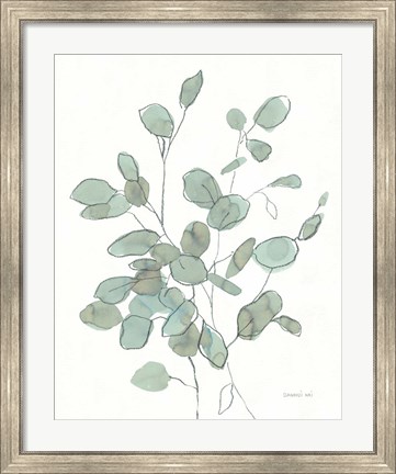 Framed Transparent Leaves Eucalyptus Print