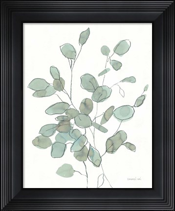 Framed Transparent Leaves Eucalyptus Print
