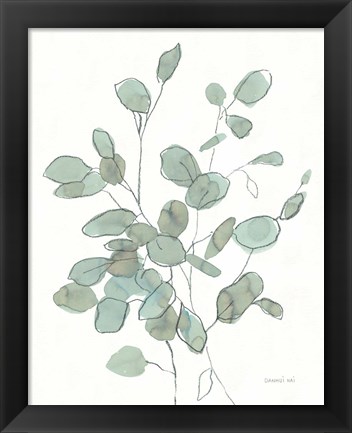 Framed Transparent Leaves Eucalyptus Print