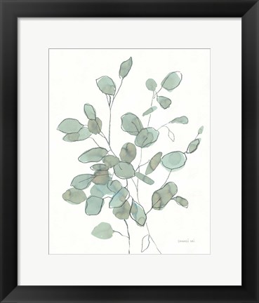 Framed Transparent Leaves Eucalyptus Print