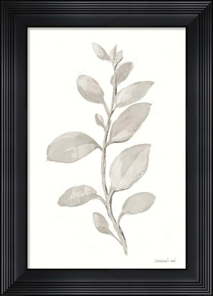 Framed Gray Sage Leaves II on White Print
