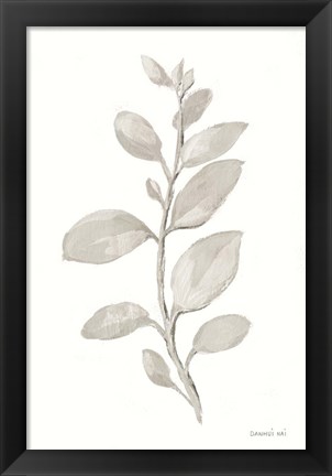 Framed Gray Sage Leaves II on White Print