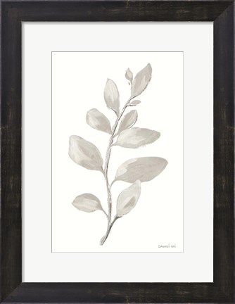 Framed Gray Sage Leaves I on White Print