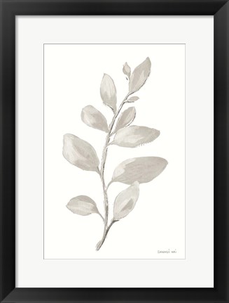 Framed Gray Sage Leaves I on White Print