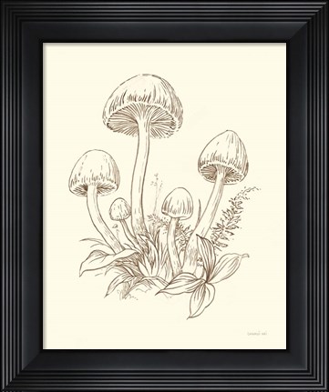 Framed Nature Sketchebook IX Brown Print