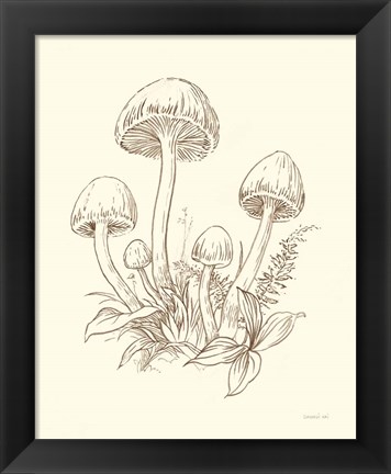 Framed Nature Sketchebook IX Brown Print