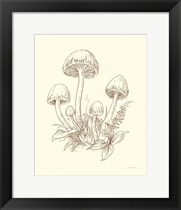 Framed Nature Sketchebook IX Brown Print