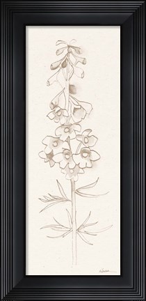 Framed Delphinium I Print