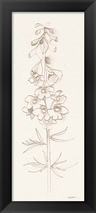 Framed Delphinium I Print