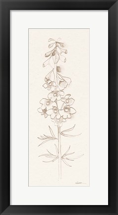 Framed Delphinium I Print