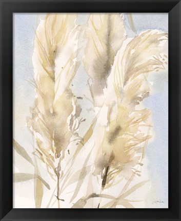 Framed Pampas Grasses II Print