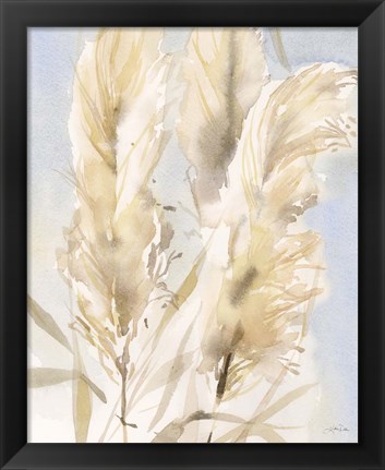 Framed Pampas Grasses II Print