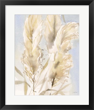 Framed Pampas Grasses II Print